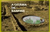 Citânia de Sanfins