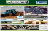Informativo Foco Rural - Novembro 2013