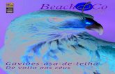 Beach&Co 127
