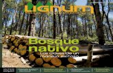 Revista Lignum Junio 2010 | Nº 119