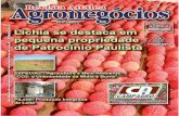 Edição 42 - Revista de Agronegócios - Janeiro/2010