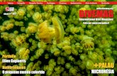 DIVEMAG | Edição 27 | International Dive Magazine