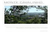 Monte Cavalinho - Ficha de Estudo