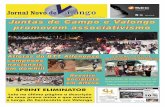 Jornal Novo de Valongo 17