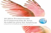 10 Anos Promoviendola Conservacion de Aves Acuaticas para las Americas