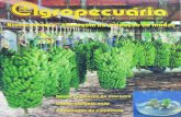 Revista Agropecuária Catarinense - Nº38 junho 1997