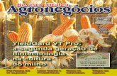 Edição 53 - Revista de Agronegócios - Janeiro/2011