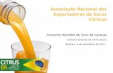 6.Consumo Mundial de Suco de Laranja_Câmara Setorial da Citricultura_Brasília_6 de setembro de 2011