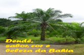 Dendê, cor, sabor e beleza da Bahia