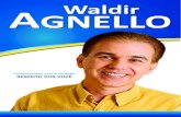 Proposta de Campanha Waldir Agnello