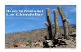 Ruta Naturalista en la Reserva Nacional Las Chinchillas