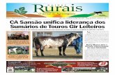 Jornal Raízes Rurais - Maio 2010