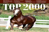 Revista TOP2000 Digital #01