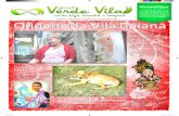 Jornal Verde Vila - Edição 02