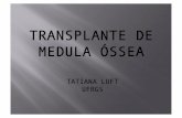 Aula sobre Transplante de Medula Óssea