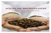 Atlas de Microscopia de café torrado e moído (Coffea sp) - FUNED