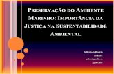 PRESERVAÇÃO DO AMBIENTE MARINHO: IMPORTÂNCIA DA JUSTIÇA NA SUSTENTABILIDADE AMBIENTAIS