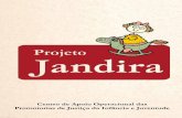 Projeto Jandira