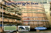 Edição 07 - Revista de Agronegócios - Janeiro/2007