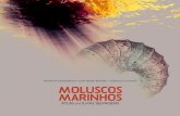 Moluscos Marinhos - Atlas das Ilhas Selvagens