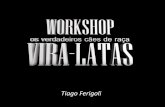 Workshop Vira-latas