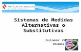 Sistemas de medidas alternativas ou substitutivas montevideu 25 07 2013