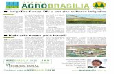 Jornal Agrobrasília 2010 Ed.02