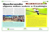 ABC da Caatinga Nr. 2 - 1 de fevereiro