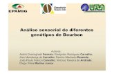 Análise sensorial de diferentes genótipos de Bourbon