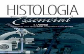Aarestrup | Histologia Essencial