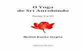 O Yoga de Sri Aurobindo - Partes V a VII
