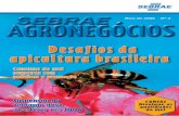 Revista SEBRAE Agronegocios