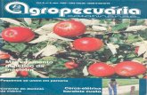 Revista Agropecuária Catarinense - Nº24 dezembro 1993