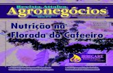 Edição 72 - Revista de Agronegócios
