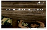 Continuum 07 - Cultura Imaterial - jan/fev 2008