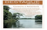 Destaque Amazônia n° 49