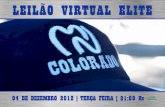 Leilão Virtual Elite Colorado