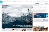 WEG Açúcar & Etanol News 2010