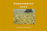 Calendario 2014 dp