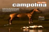 Revista TOP 2000 Campolina - nº 1