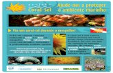 Cartaz denúncia - Projeto Coral-Sol