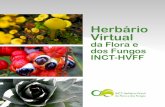 Herbário Virtual da Flora e dos Fungos INCT-HVFF