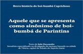 Festival Parintins 2014 — Breve História Boi-bumbá Caprichoso