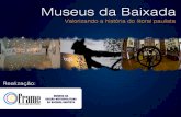 Painel 6: Casos selecionados dos museus paulistas: ações estruturantes