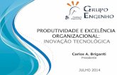 Carlos Briganti_Grupo Engenho_YoungBusinessAffairs_ Produtividade_CPS_11 07 14