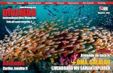 DIVEMAG | Edição 31 | International Dive Magazine
