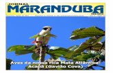 Jornal Maranduba News #63