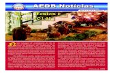 AEDB Notícias 20 - Dezembro 2013