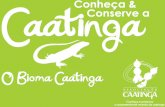Apresentação - O Bioma Caatinga