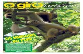 Encontro com os Muriquis no Parque Rio Doce
